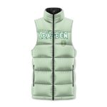 Leafeon Eeveelution Pokemon