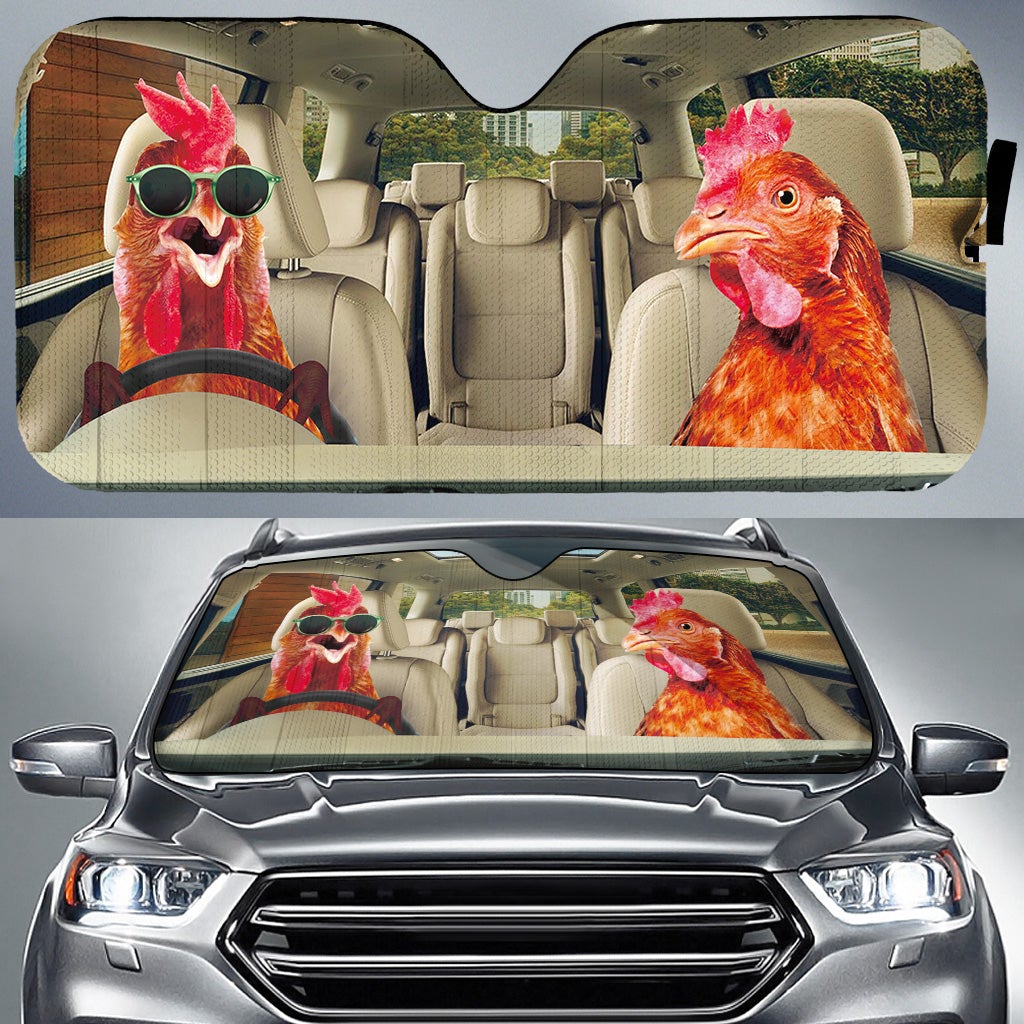 Right Hand Drive Car Sunshades for Driving Chicks Glasses