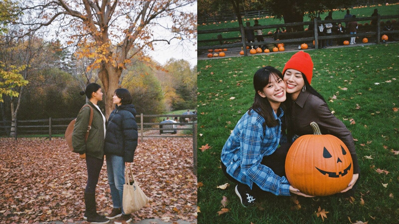 8 Cozy Hoodies for Chilly October Nights group image